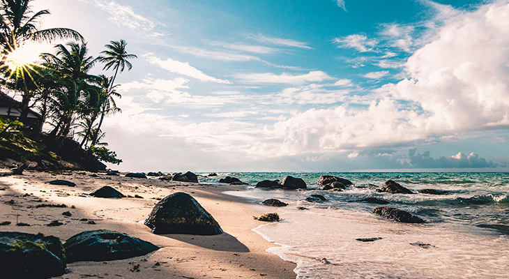 Best tropical places to visit - infographic with islands, beaches, and palm trees