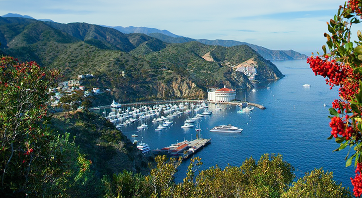 Catalina Island getaway