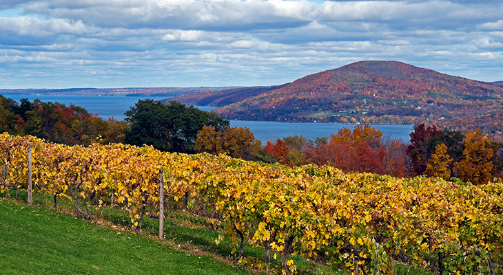 Finger Lakes wine road trip with vineyards