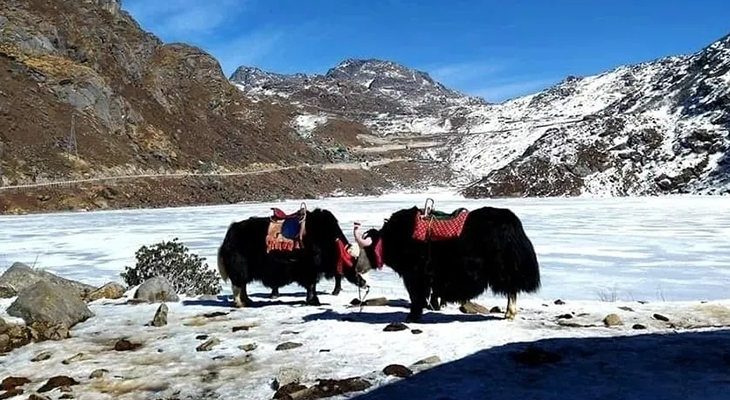 Gangtok