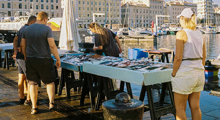 Marseille Vieux-Port and Mediterranean calanques