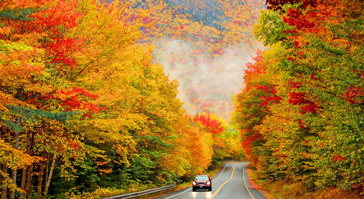 New England Leaf-Peeping