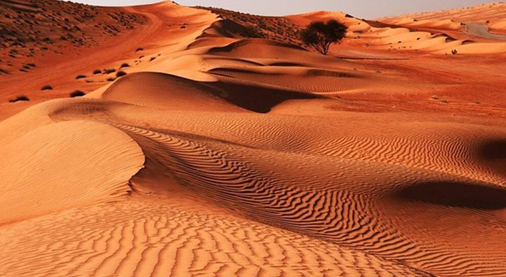 Sharqiya (Wahiba) Sands