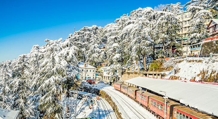 Shimla and Chail