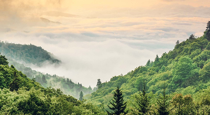 smoky mountain landscape