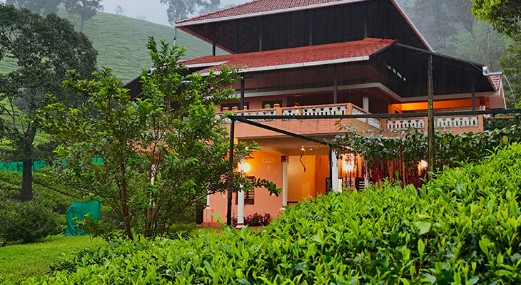Wayanad hills and waterfalls—lush landscapes for a Kerala trip from Bangalore
